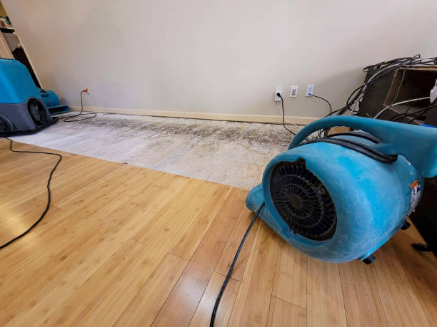 Professional Burst Pipe Water Damage technician working in Ryderwood, WA